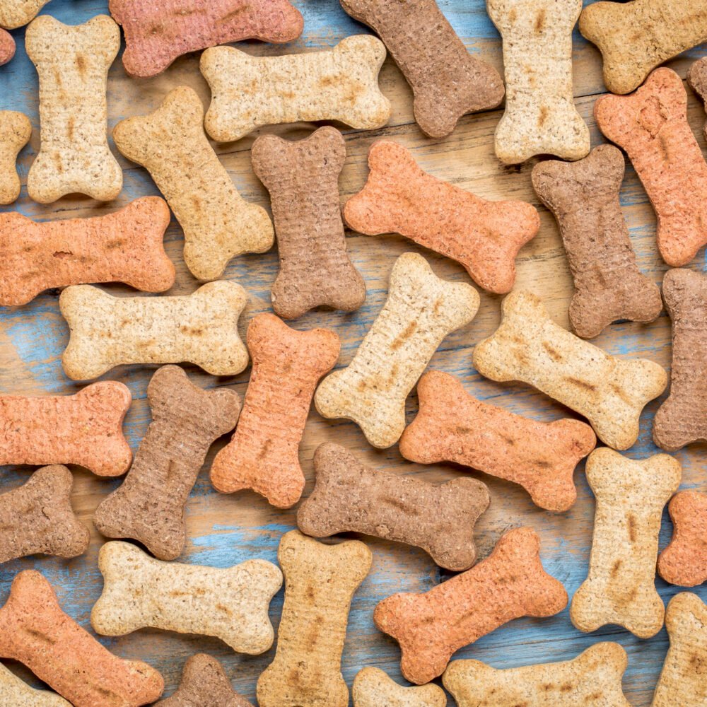 Dog Treats