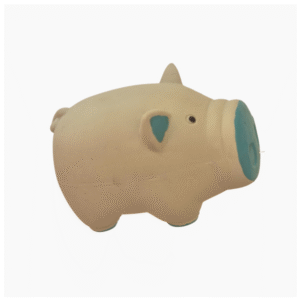 Latex Pig