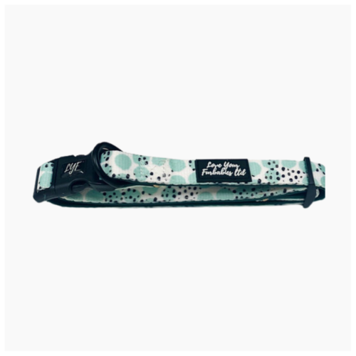 Dog Collar Teal Spot