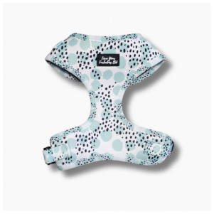 Dog Harness Teal Spot