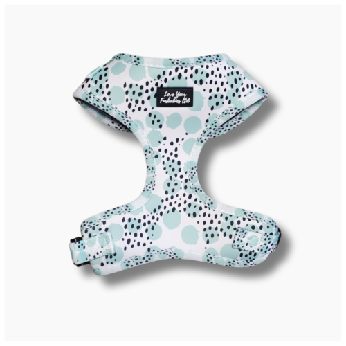 Dog Harness Teal Spot