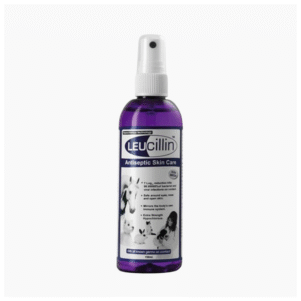 Leucillin Antiseptic Travel Spray 60ml