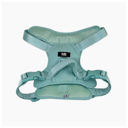 Dog Harness X-Link Mint