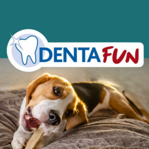 Denta-Fun Hide Treats