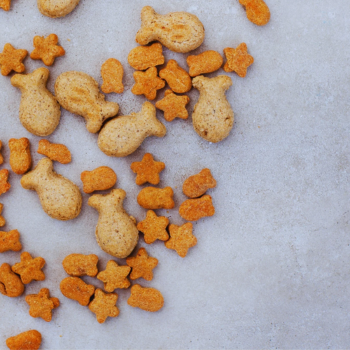 Cat Treats