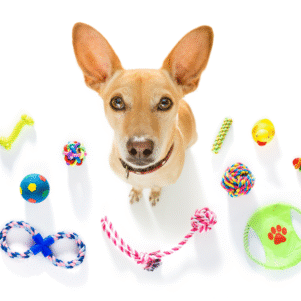 Dog Toys