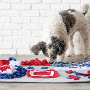 Dog Enrichment