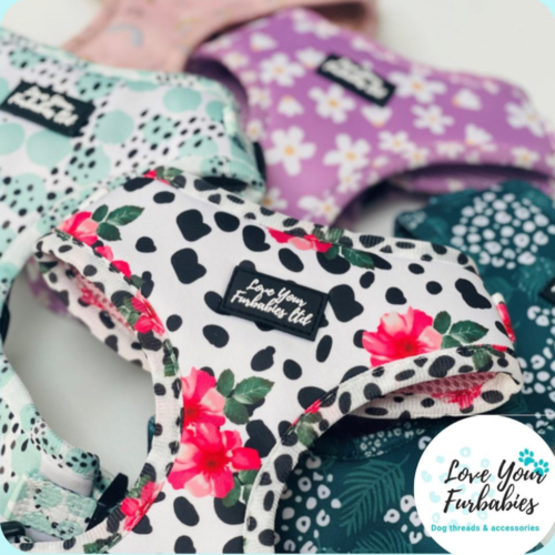 Dog Harnesses