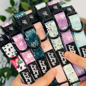 Dog Collars