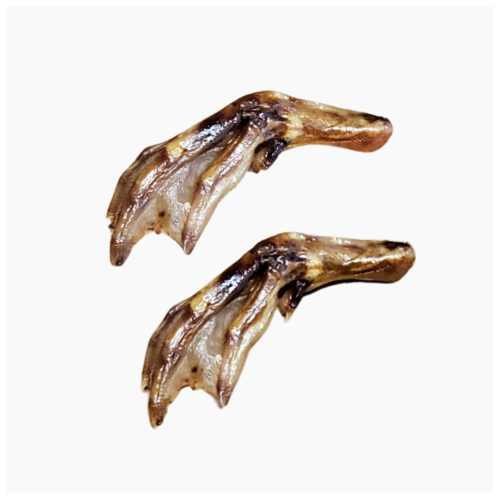 Duck Feet