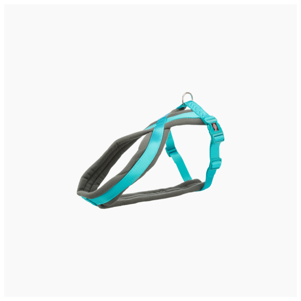 Premium Touring Harness Aqua - S-M 40-70cm/20mm