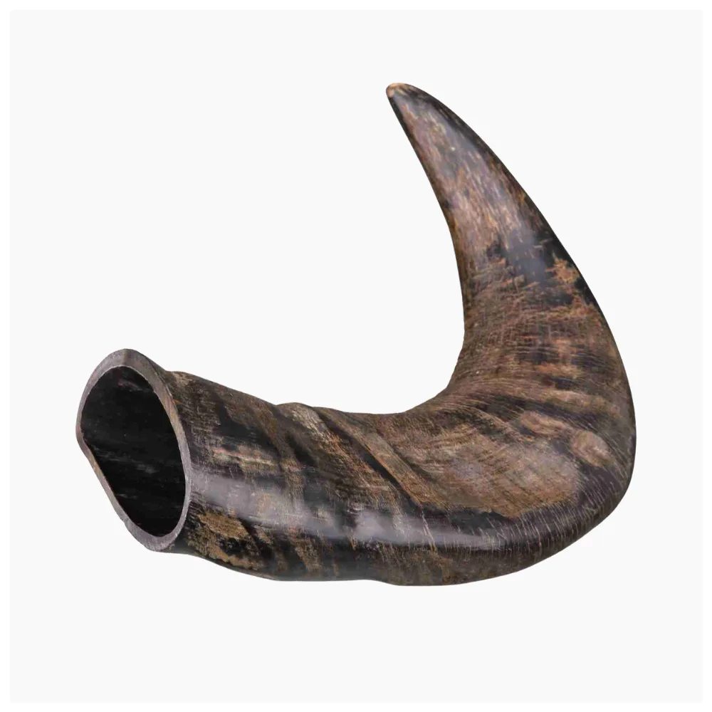 Trixie Buffalo Horn Dog Chew