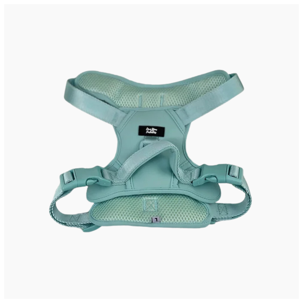 Dog Harness X-Link Mint - Medium