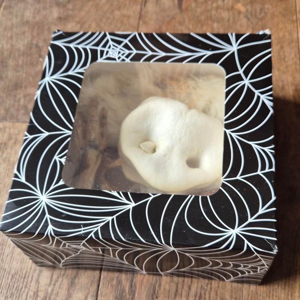 Halloween Dog Boo Box- Natural