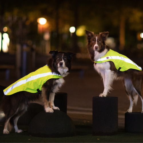 Be Safe at Night