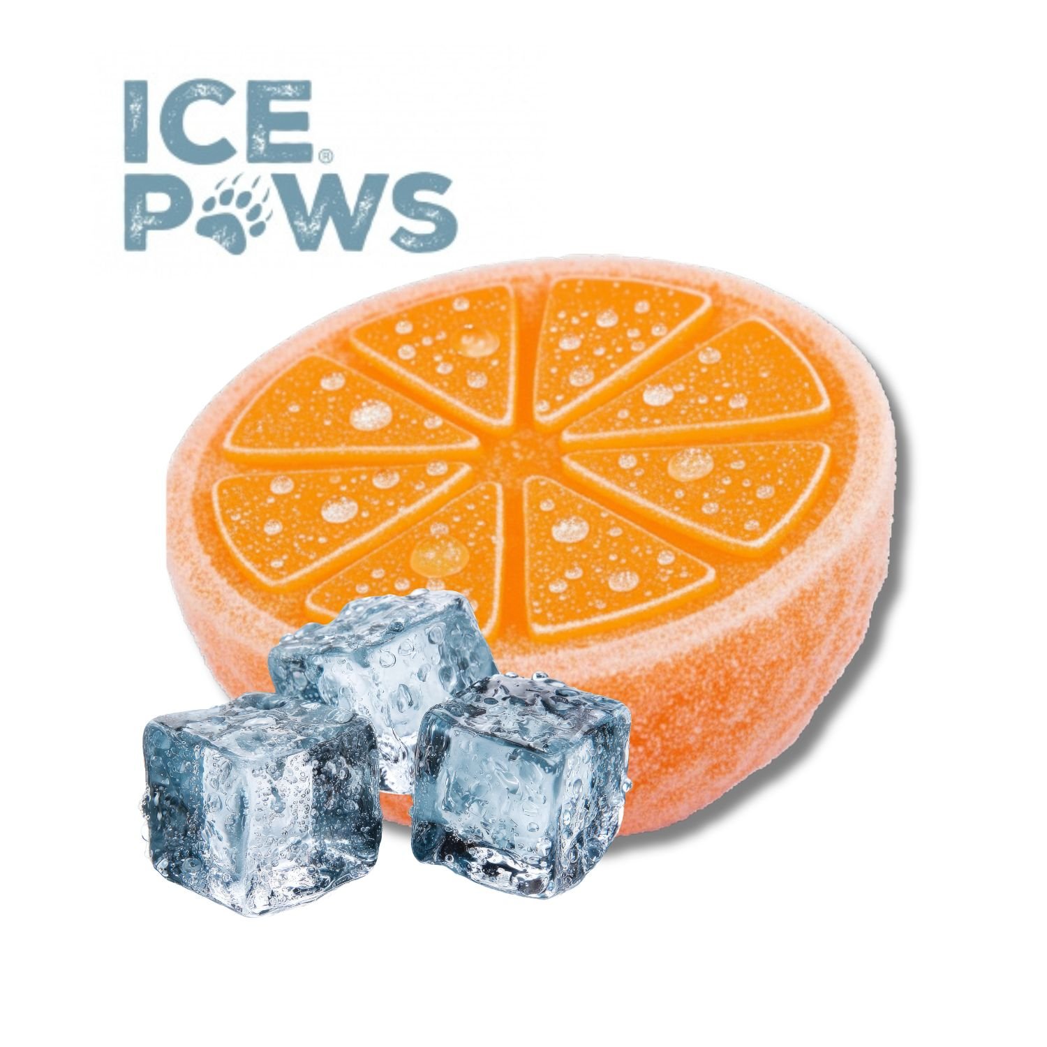 orange cooling dog toy