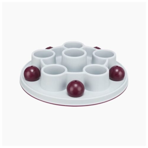 Trixie Cat Activity Game Pentagon