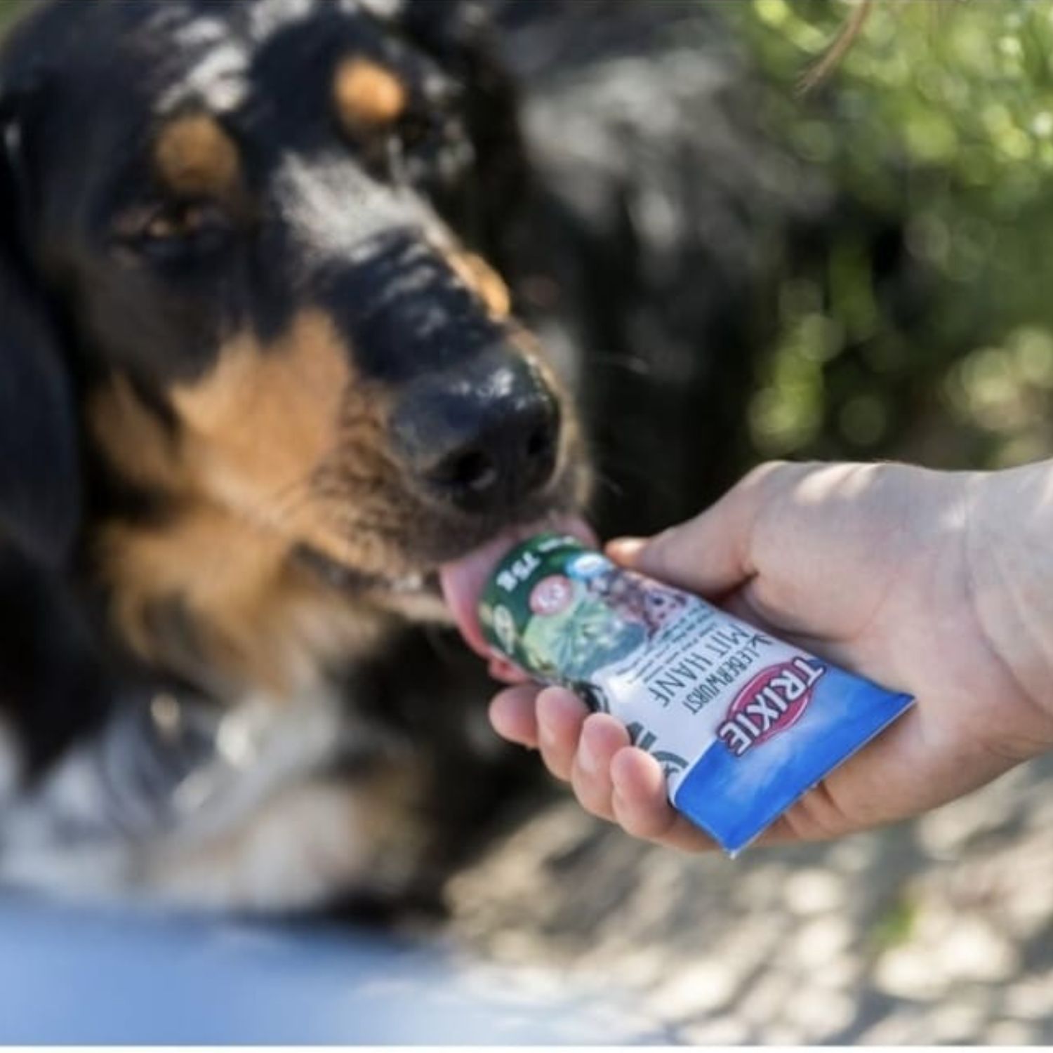 liver and hemp dog pate