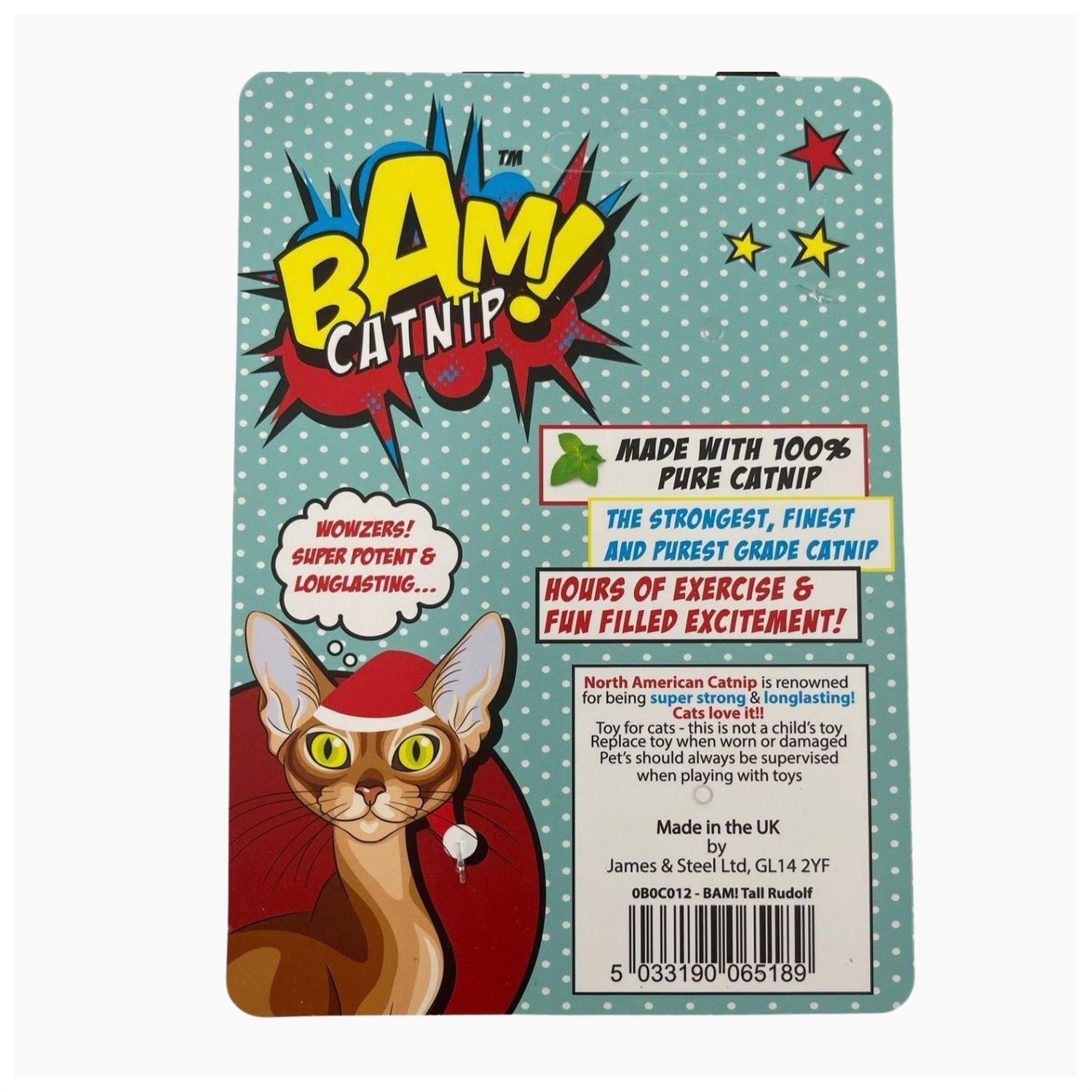 BAM Christmas Ronny Reindeer catnip toy packaging card with instructions and features list