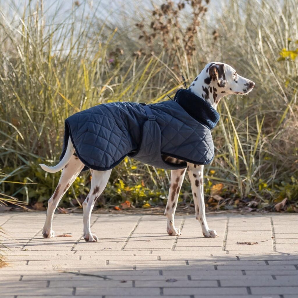 Soft sherpa lining inside the Trixie Minot blue dog coat