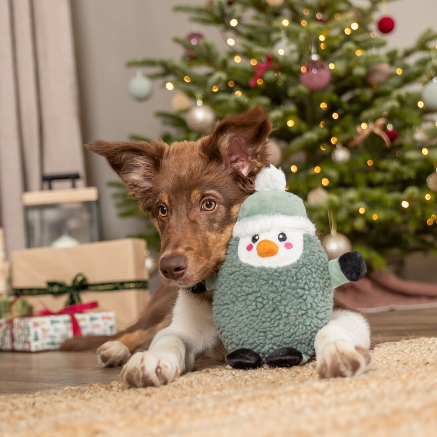 • Built in internal play squeaker on Trixie penguin christmas dog toys