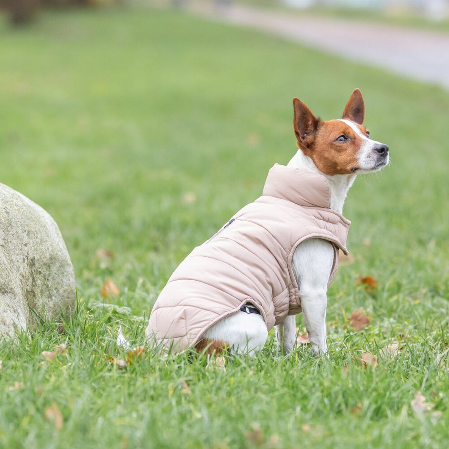 Side fit alignment on pink winter dog coats with harness hole adjustments