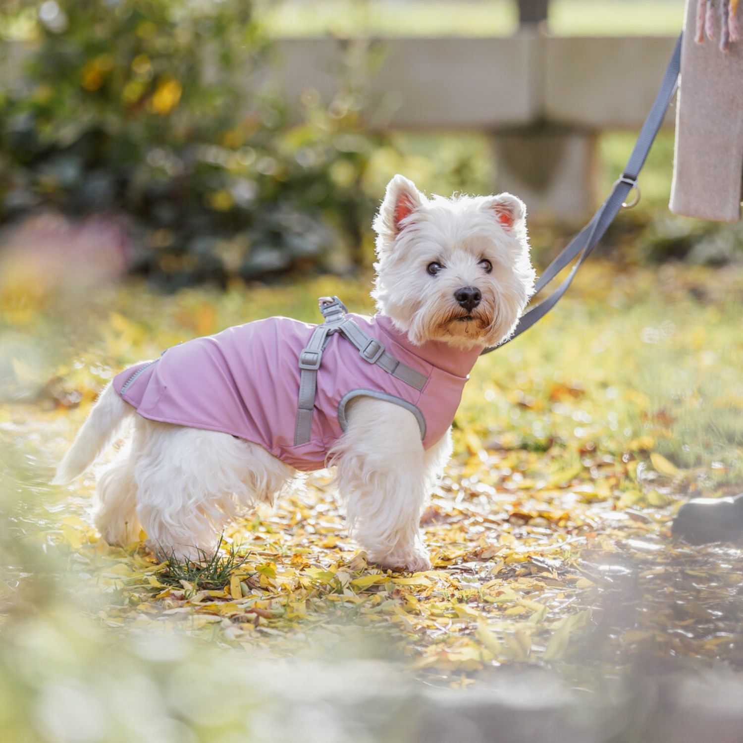 trixie dog raincoat pink