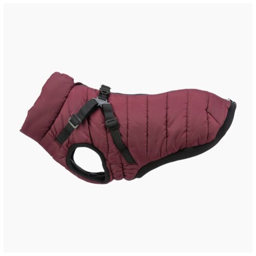 winter dog coat with harness)