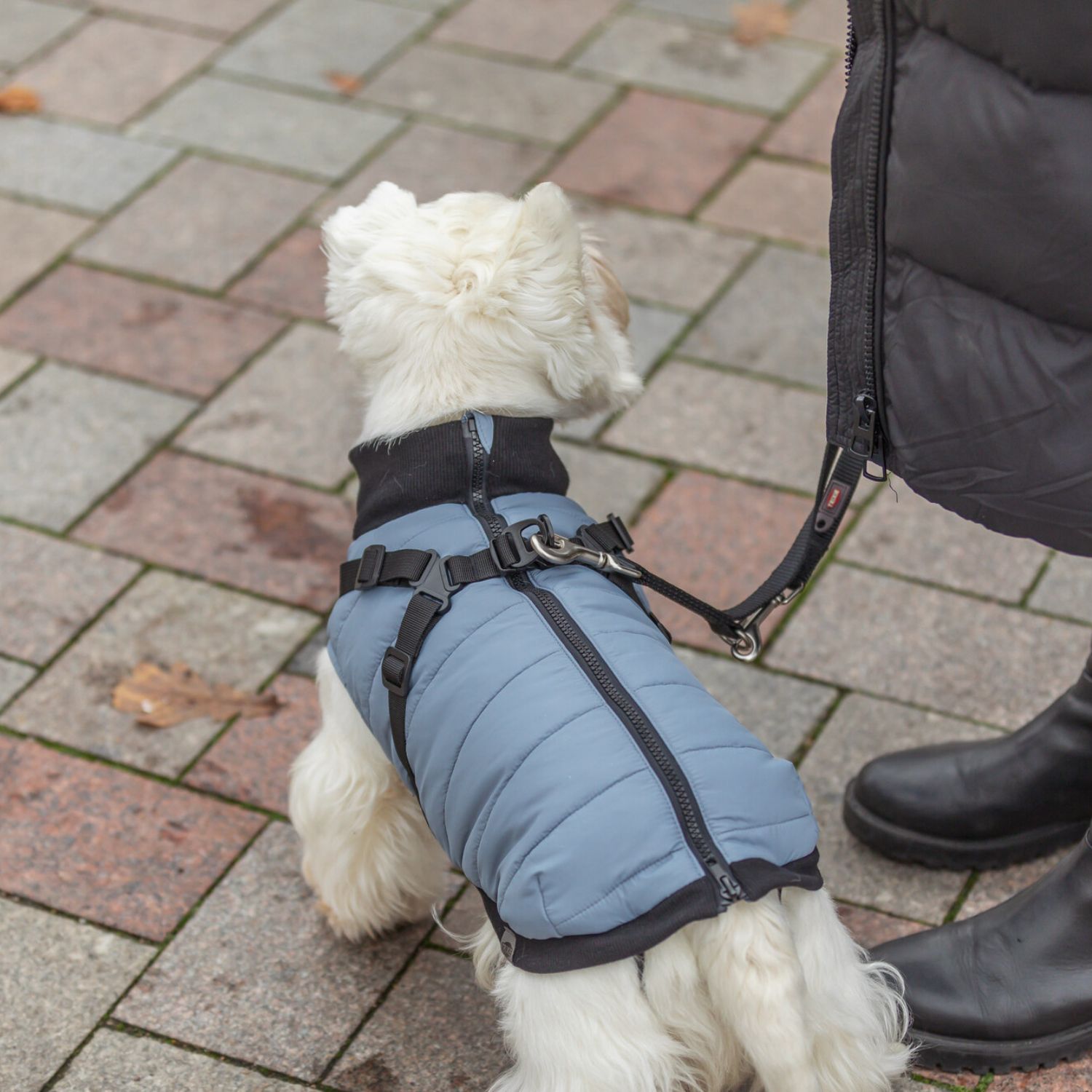 Trixie Pontis Dog Coat with Harness Blue/Grey - Image 4