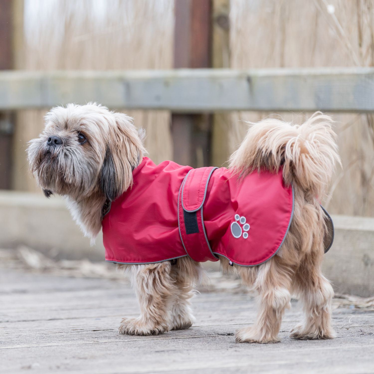 Trixie Orleans red dog coat