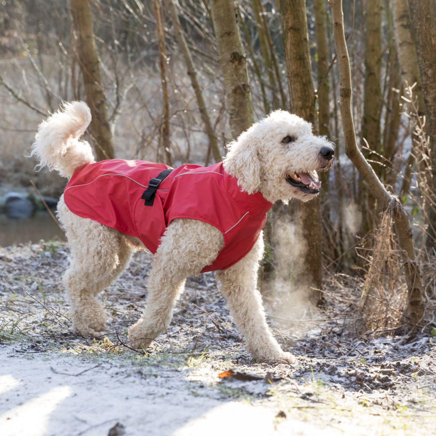 Trixie Vimy Raincoat Red