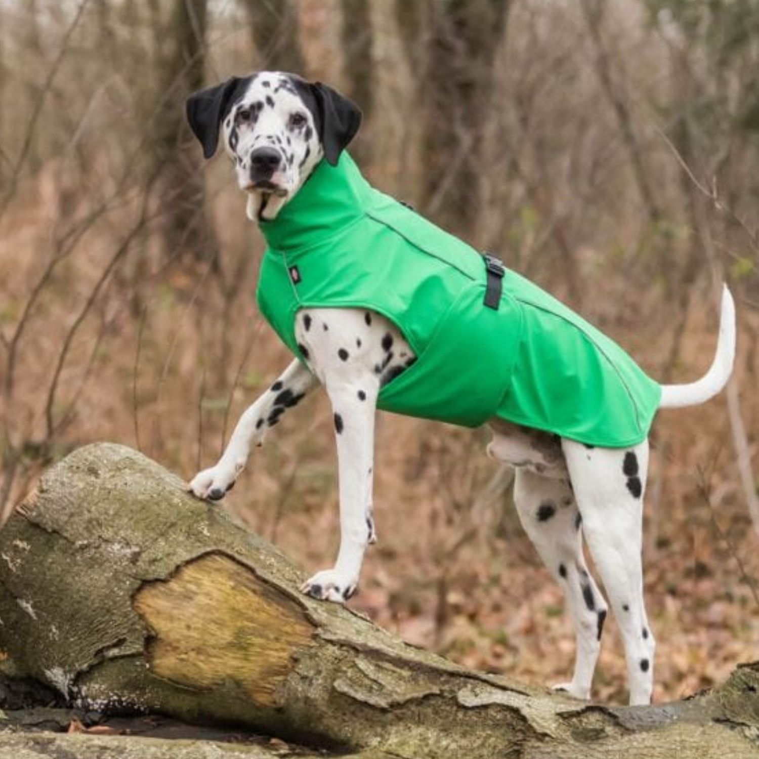 vimmy raincoat green